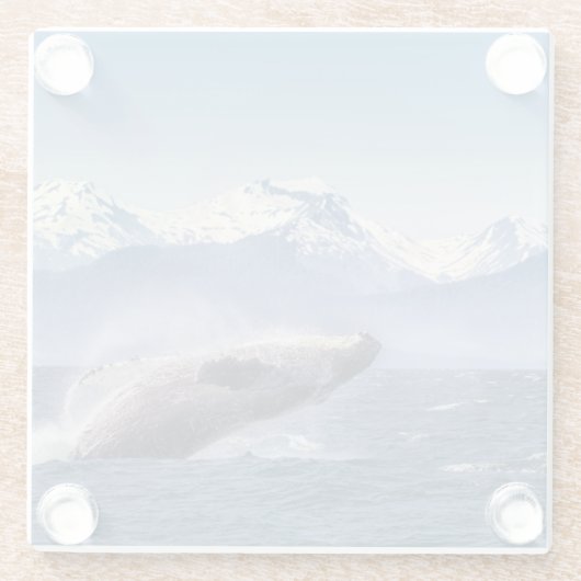Durchbrechen des Buckel-Wals in Alaska Glasuntersetzer (Rückseite)