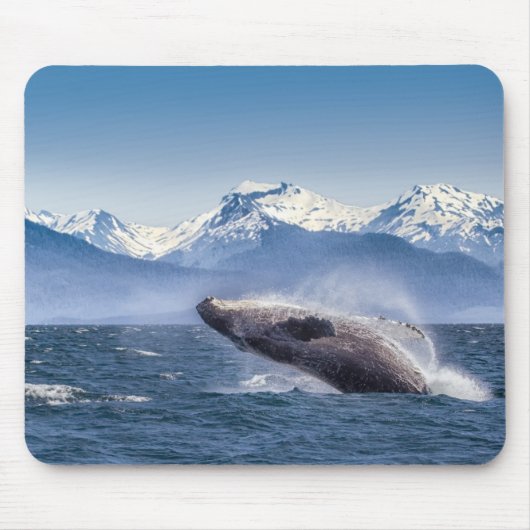 Durchbrechen des Buckel-Wals in Alaska Mousepad (Vorne)