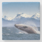 Durchbrechen des Buckel-Wals in Alaska Steinuntersetzer (Vorderseite)