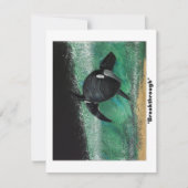 Durchbruch Mitteilungskarte (Vorderseite)