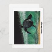 Durchbruch Mitteilungskarte (Vorne/Hinten)