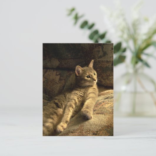 Durchdacht Postkarte (Stehend Vorderseite)