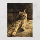 Durchdacht Postkarte (Vorderseite)