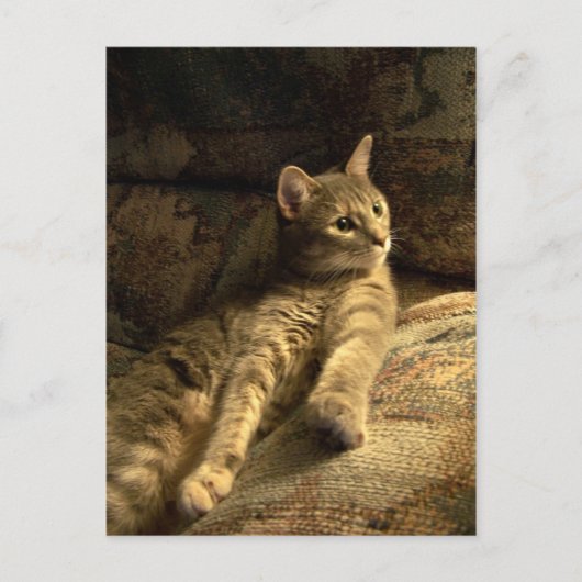 Durchdacht Postkarte (Vorderseite)