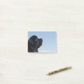 Durchdachte Inka Post-Itanmerkung Post-it Klebezettel (Auf Schreibtisch)