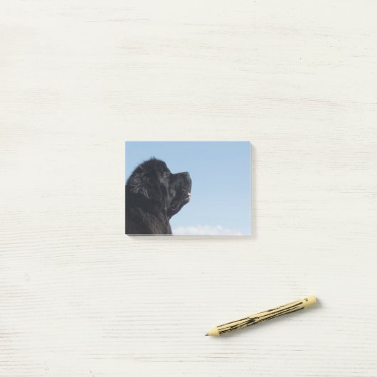 Durchdachte Inka Post-Itanmerkung Post-it Klebezettel (Auf Schreibtisch)