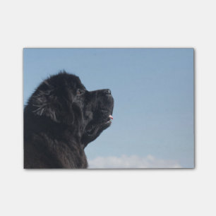 Durchdachte Inka Post-Itanmerkung Post-it Klebezettel