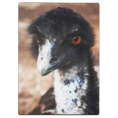 Durchdringende Augen des Outback Klemmbrett (Rückseite)
