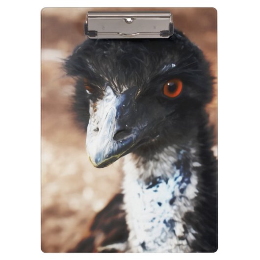 Durchdringende Augen des Outback Klemmbrett (Vorderseite)