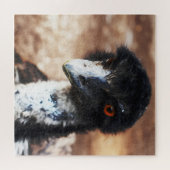 Durchdringende Augen des Outback Puzzle (Horizontal)