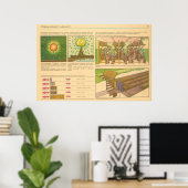 durchdringende Strahlung Poster (Heimbüro)