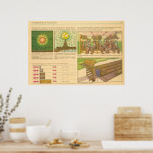 durchdringende Strahlung Poster (Küche)