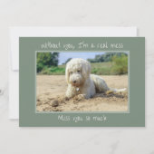 Durcheinander ohne Hund verpassen Sie Ihre Karte (Vorderseite)