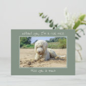 Durcheinander ohne Hund verpassen Sie Ihre Karte (Stehend Vorderseite)