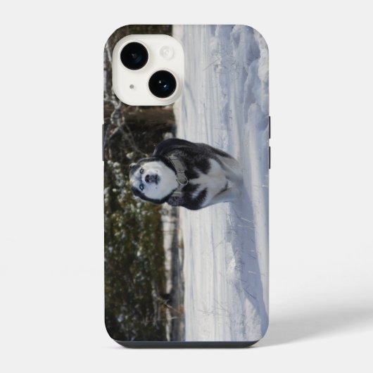 Durchgehendes Laden iPhone Hülle (Rückseite)