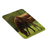 Durchgeklebte Mare & Foal 2 Magnet (Rechte Seite)