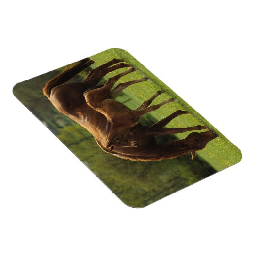 Durchgeklebte Mare & Foal 2 Magnet (Rechte Seite)