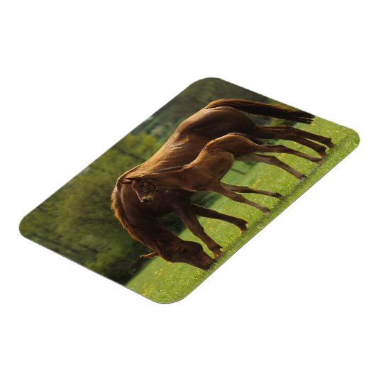 Durchgeklebte Mare & Foal 2 Magnet (Linke Seite)