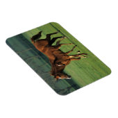 Durchgeklebte Mare & Foal 3 Magnet (Rechte Seite)