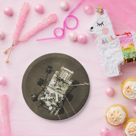 Durchhaltevermögen Ankunft in Mars Pappteller (Party)