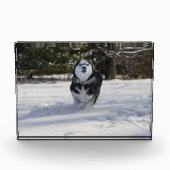 Durchladen Fotoblock (Vorderseite)