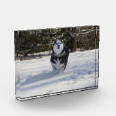 Durchladen Fotoblock (Links)