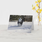 Durchladen Karte (Gelbe Blume)