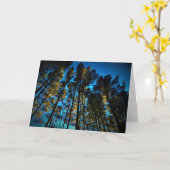 Durchscheinen, Karte (Gelbe Blume)