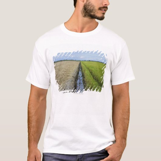 durchschnittliche Reisfelder des T-Shirt (Vorderseite)