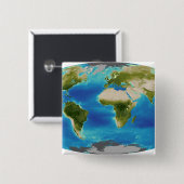 Durchschnittliches Wachstum der Pflanze der Erde Button (Vorne & Hinten)