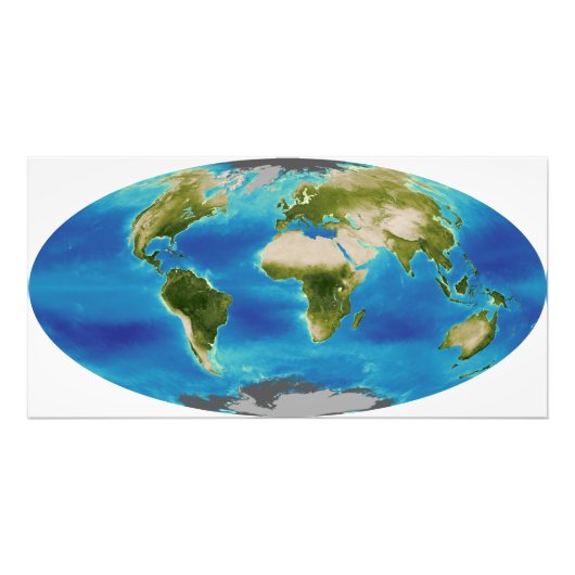 Durchschnittliches Wachstum der Pflanze der Erde Fotodruck (Vorne)