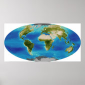 Durchschnittliches Wachstum der Pflanze der Erde Poster (Vorne)