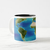 Durchschnittliches Wachstum der Pflanze der Erde Zweifarbige Tasse (Vorderseite Links)