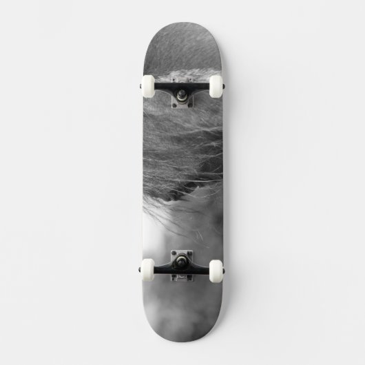 durchsichtig skateboard (Vorderseite)