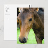 Durchsichtige Auswahlliste Postkarte (Vorne/Hinten)