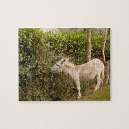 Durchstreifende Fotolaubsäge des neuen Waldponys Puzzle