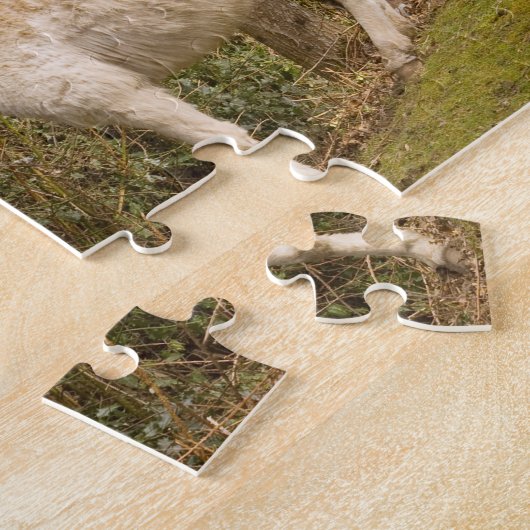 Durchstreifende Fotolaubsäge des neuen Waldponys Puzzle (Seite)