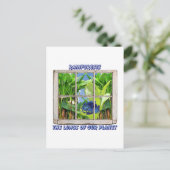 Durchsuchen eines Fensters Postkarte (Stehend Vorderseite)