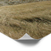 Durdle Door Poster (Ecke)