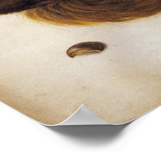 Dürer - Eichhörnchen Poster (Ecke)