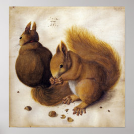 Dürer - Eichhörnchen Poster