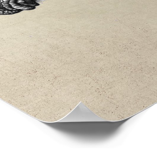 Durer Rhino Poster (Ecke)