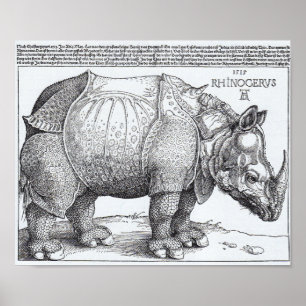 Dürers Nashorn Poster