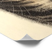 Dürer's Tabby Treasures 1 Poster (Ecke)