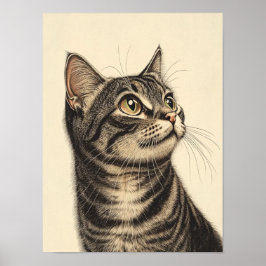 Dürer's Tabby Treasures 1 Poster