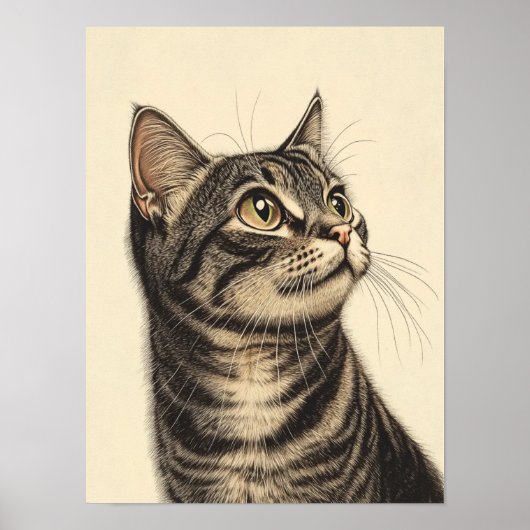 Dürer's Tabby Treasures 1 Poster (Vorne)