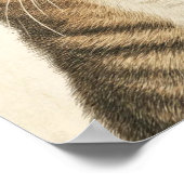 Dürer's Tabby Treasures 2 Poster (Ecke)