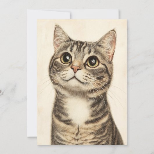 Dürer's Tabby Treasures 3 Einladung (Vorderseite)