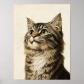 Dürer's Tabby Treasures 3 Poster (Vorne)