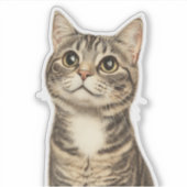 Dürer's Tabby Treasures 4 Aufkleber (Vorderseite)